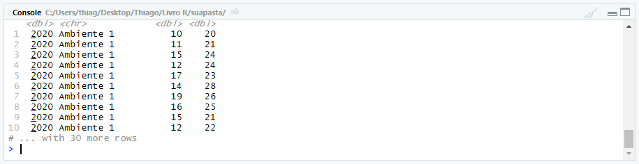 Guia do RStudio referente ao ambiente console onde o resultado dos comandos executados irão aparecer.