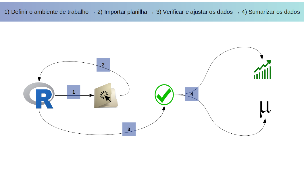 Resumo dos passos abordados no capítulo: da definição do ambiente de trabalho até a sumarização dos dados.