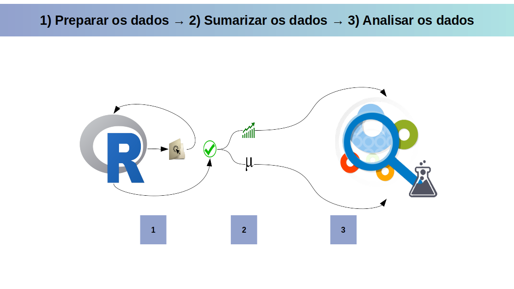 Resumo dos passos abordados no capítulo: da preparação dos dados até a análise dos dados.